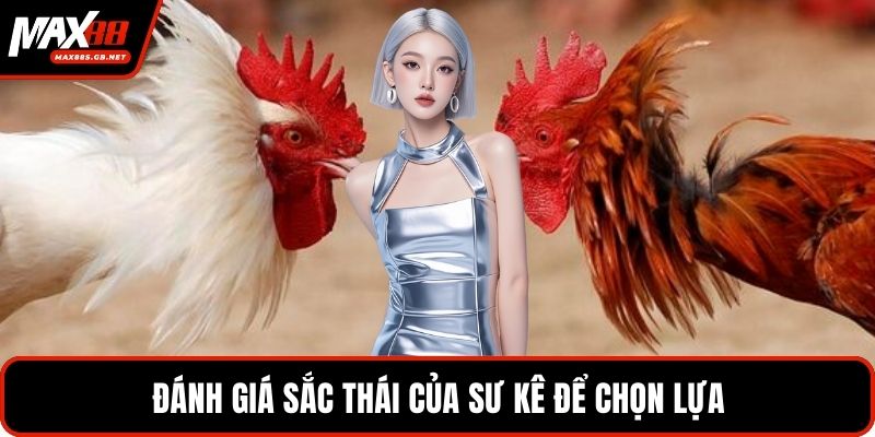 Đánh giá sắc thái của sư kê để chọn lựa